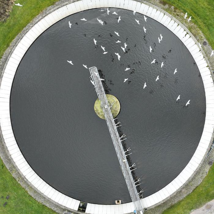 På billedet ses et rundt spildevandsbassin, hvor der flyver måger over