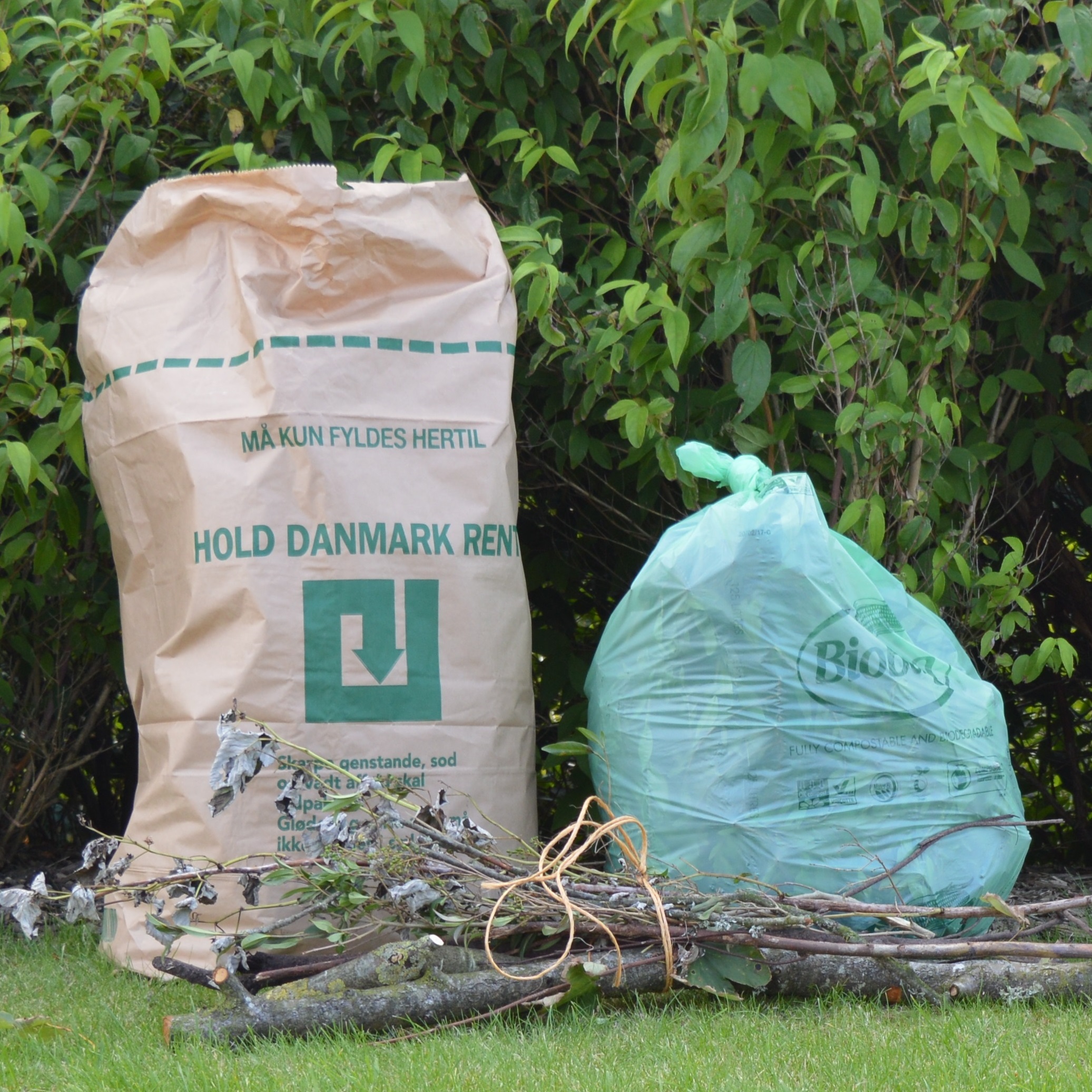 En brun papirsæk, en grøn biopose og lidt kviste står på en græsplæne foran en busk.
